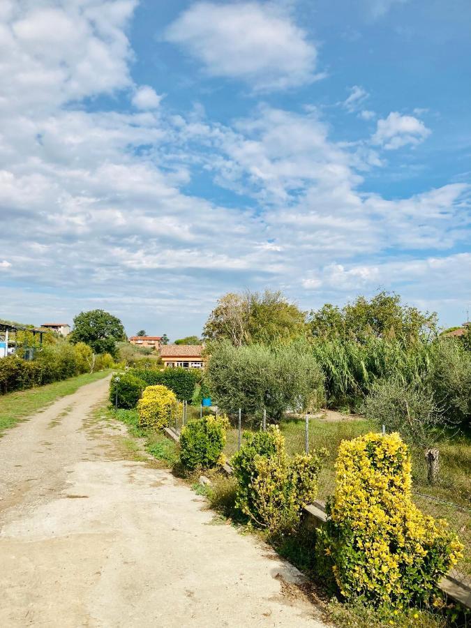 Villa Bubu, Appartamento Country-Chic 罗马 外观 照片