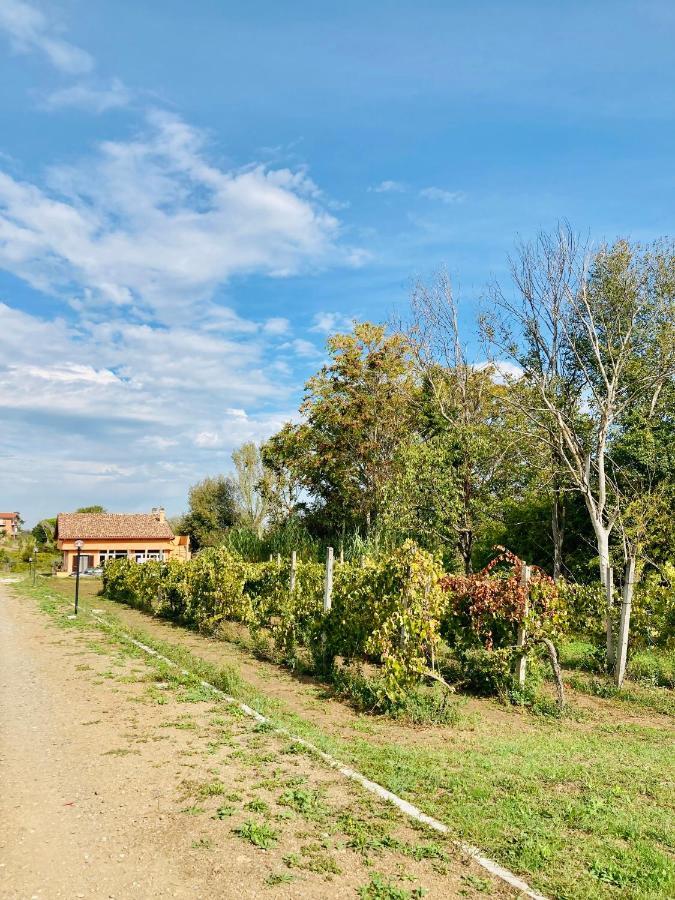 Villa Bubu, Appartamento Country-Chic 罗马 外观 照片