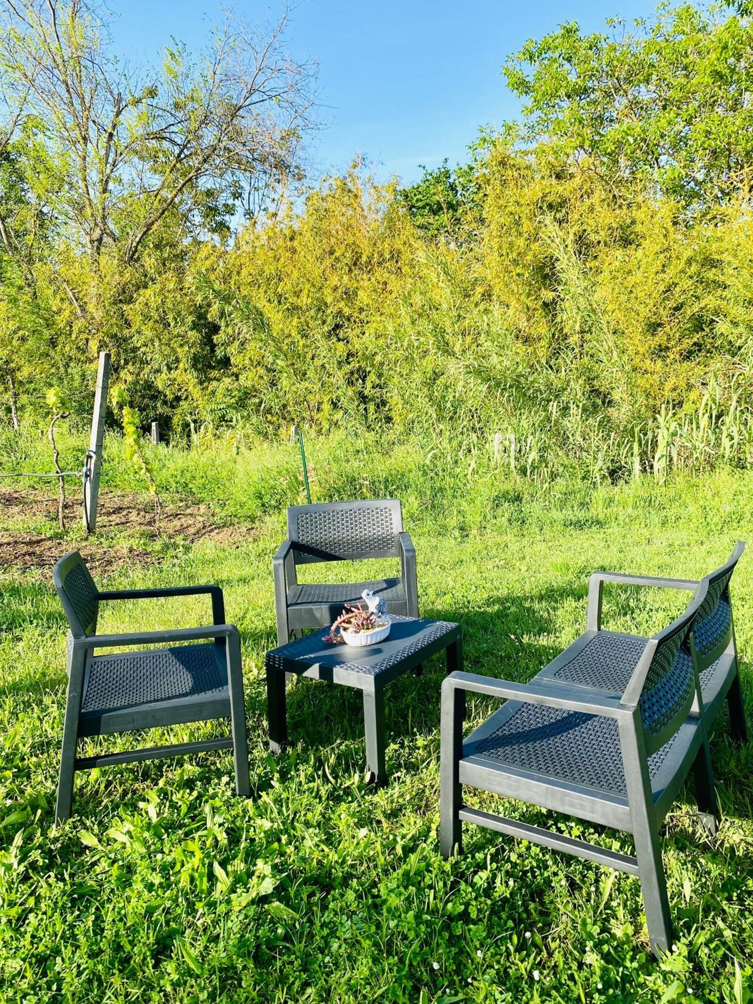 Villa Bubu, Appartamento Country-Chic 罗马 外观 照片